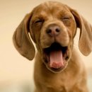 아동심리치료사자격 이미지