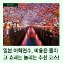 [단기과정 3차]생활일본어회화 초급[12주] | 일본 어학연수, 비용은 줄이고 효과는 늘리는 추천 코스!