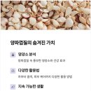 양파껍질 차로 마실수 있습니다.