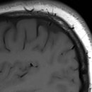 그린몰의원 이미지