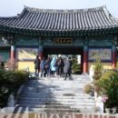 상효동-6 이미지