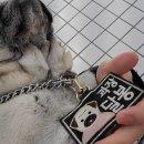 준독라운지 이미지