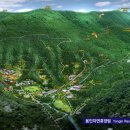 용인자연휴양림 광장 이미지