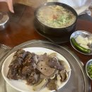 [충청] 충주여행 1박 2일 총정리 및 맛집 추천