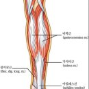 새부산스포츠 이미지