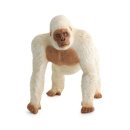 고릴라 소프트 이미지