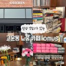 옴누스 | [세종 고운동 카페] 분위기 좋은 'omus 옴누스' 내돈내산 추천