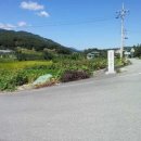 고제입구삼거리 이미지