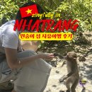 골목을 누비는 물고 | 나트랑 원숭이섬 자유여행 2탄 내돈내산 후기 원숭이 물림사고 주의