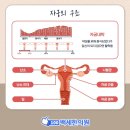 건강백세한의원 이미지