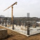 원흥초등학교 이미지