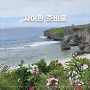 김정문알로에북부지부 | 사이판 여행 준비물 잘쓴템 안쓴템 유심 대신 이심 사용 후기