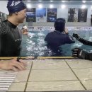 샘아쿠아라인 이미지