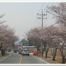 평사공원 이미지