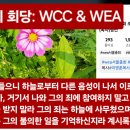 (사탄의 회당)WEA서울 총회 조직위에 이름을 올린 (목사)명단 🚨📣Come out of her, my people 이미지