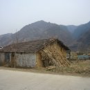 지상낙원 네이버블로그