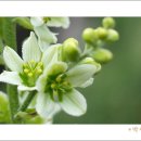 북문놀이터 이미지