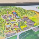 원삼산 목장 | 힐링하기 좋은 용인 대형 카페, 용인 자작나무 숲 카페 베툴라 (입장료, 주차, 메뉴)