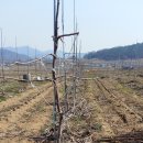 민이네농장 이미지