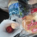 ZION | Zion Canyon lodge 자이언캐년 롯지 후기