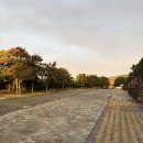 베이힐 | 서귀포호텔추천 베이힐풀앤빌라 부대시설 조식 &amp; 스파 이용 후기