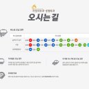 S라인V라인의원 네이버블로그