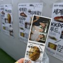 로이코스메틱 | 12월 가고 2026년 어서오세요 🙏