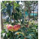 한들농산 이미지