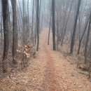 대동면행정복지센터 화장실 | 동서트레일 4구간 - 태안읍 행정복지센터~팔봉산 주차장