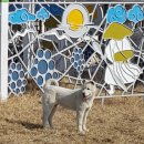 매화리경로당 이미지