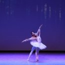 해설이 있는 발레 <백조의 호수> 이미지