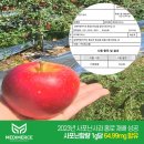 홍로 - 서귀포시 | 홍로