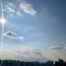 마래푸약국 이미지