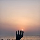 호미반도해안둘레길 | 호미곶 일출, 호미반도 해안둘레길(힌디기), 용천시장...불의정원), 형산강 장미원, 경주 양동마을) 후기