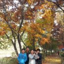 현대자동차 행신가라뫼점 이미지