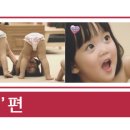 (주) 하쿠호도제일