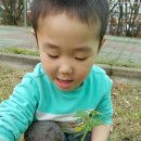 광령초등학교 병설유치원 이미지