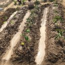 도자농장 이미지