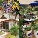 허브마켓(주) 이미지