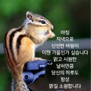 신*선 이미지
