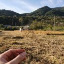 토러스농장 이미지