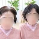 뷰라이프위그갤러리