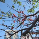 매천고등학교 이미지