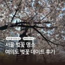 나루역사거리현대약국 | 서울 벚꽃 명소 여의도 여의나루역 평일 낮 다녀온 후기 사진스팟 꿀팁