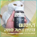 강아지 마음 | 강아지기관지영양제 추천 마음반려 후기 (고양이기관지영양제 급여기)