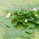 푸른알 영농조합법인 이미지