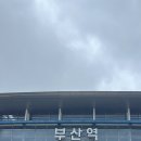 보리네사진관