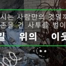 더 샵 동물메디컬센터 데일리벳