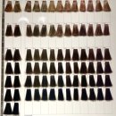 소담소담 이미지