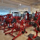 홍키통키 이미지